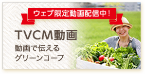TVCM動画